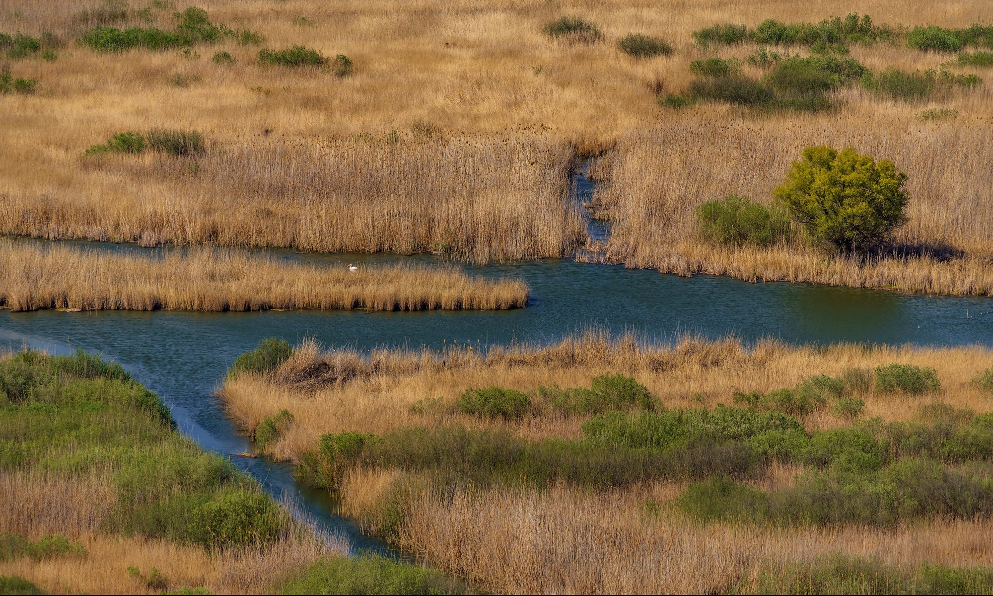 Beautiful shot of a valley and a small river in Dobrogea County Romania